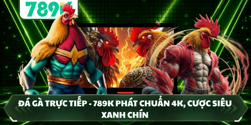 Đá Gà Trực Tiếp - 789K Phát Chuẩn 4K, Cược Siêu Xanh Chín
